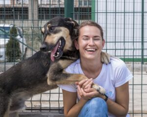 Dezembro verde: mês do combate ao abandono de animais e incentivo a adoção responsável